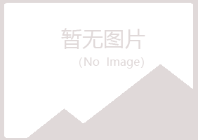 港北区山柳建设有限公司